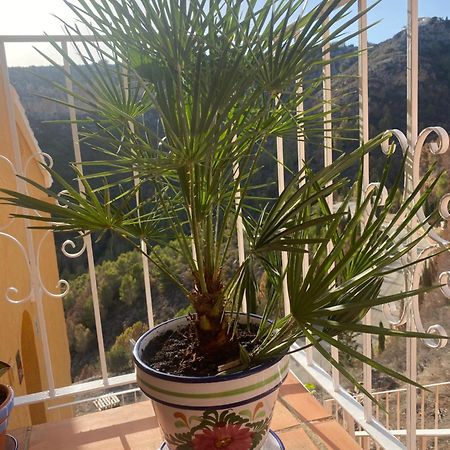 Apartman Marcella, Cumbre Del Sol Εξωτερικό φωτογραφία